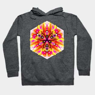 Fantasy mandala done in kaleidoscopic style Hoodie